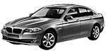 BMW F10 DF110 Fault Code
